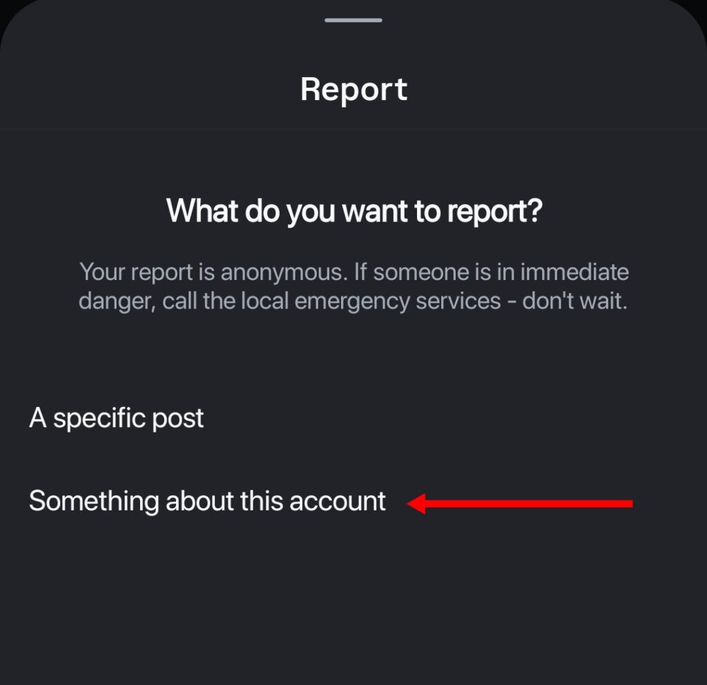 report instagram account step 2