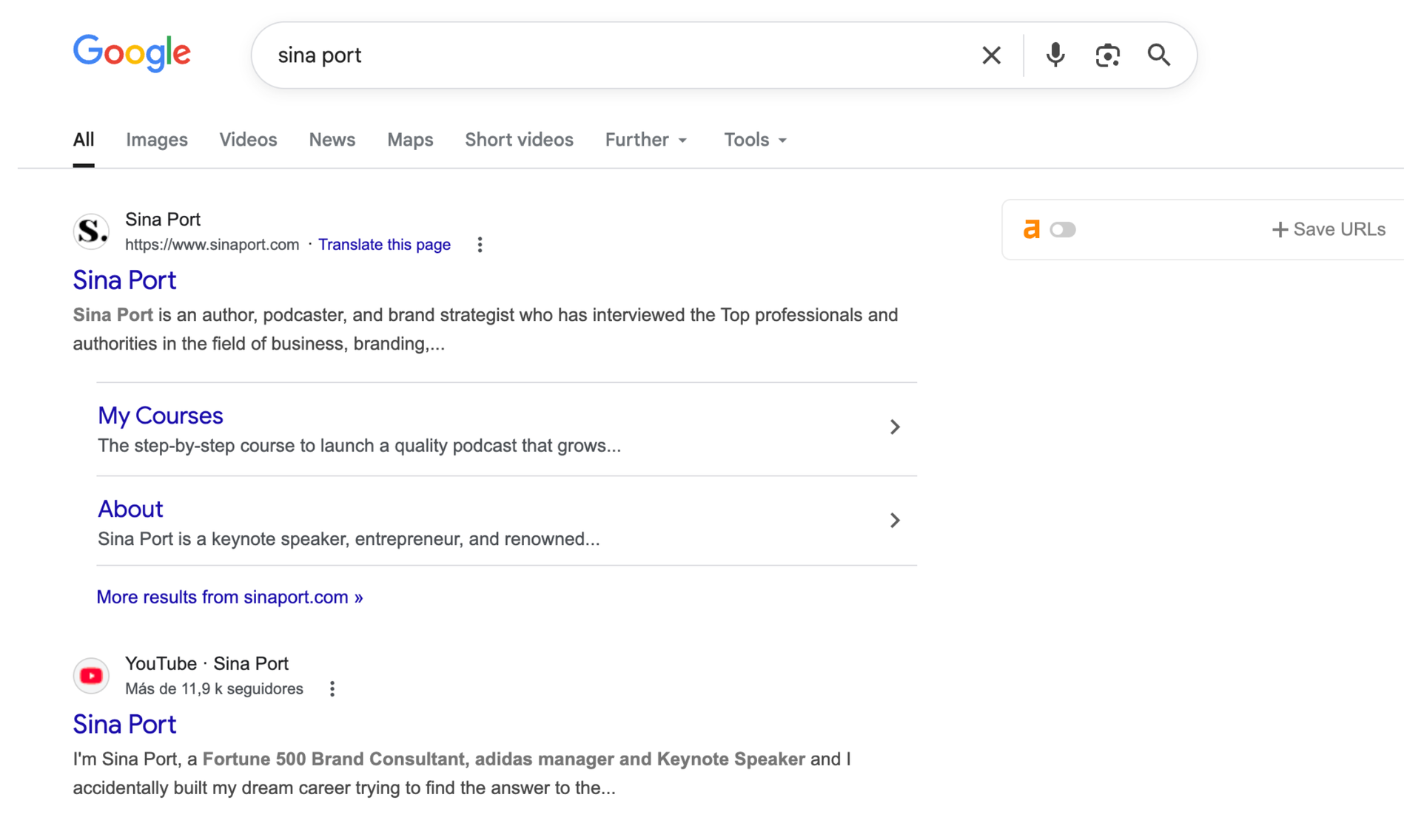 Google search for Sina Port before the Knowledge Panel