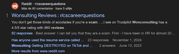 Before: Wonsulting search results with the negative Reddit thread ranking on page one